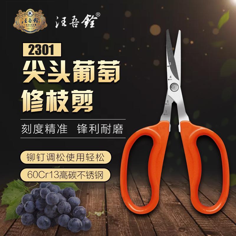 汪吾铨阳光玫瑰专用翘头葡萄剪刀蔬果稀果修枝园艺采摘水果多肉剪