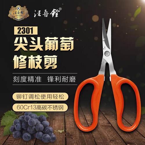 汪吾铨阳光玫瑰专用翘头葡萄剪刀蔬果稀果修枝园艺采摘水果多肉剪