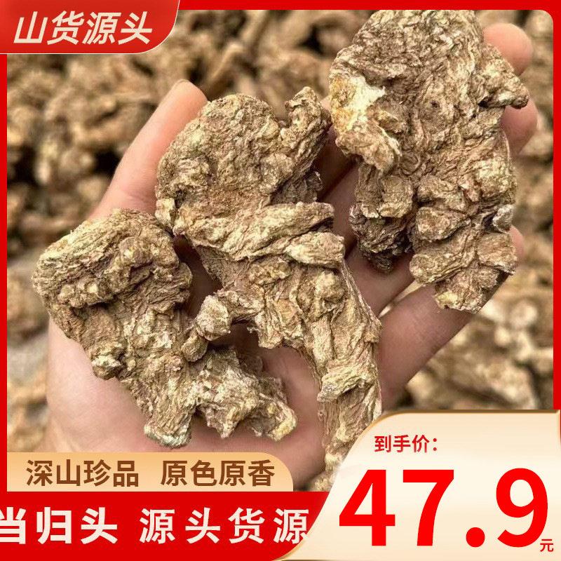云南丽江当归头选货今年新货煲汤当归可切片