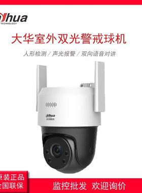 大华乐橙2寸200万-400万室外双光警戒球机 室外防水POE供电球机