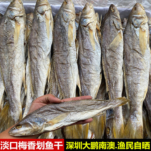 广东三牙梅香黄花咸鱼霉香咸鱼干淡口霉香划鱼香划鱼香茄子煲500g - 封面