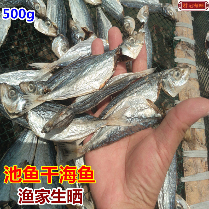 巴浪鱼干池仔鱼干广东咸鱼干深圳南澳特产渔民自晒深海鱼水产干货