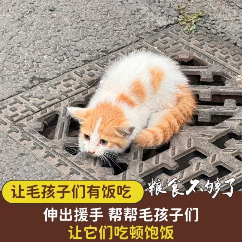 爱心捐赠1分钱捐款0.01元1毛钱一块钱活动秒杀小商品包邮一元公益,个性定制/设计服务/DIY,3D打印/定制,淘宝优惠券,粉丝福利购,淘宝优惠卷