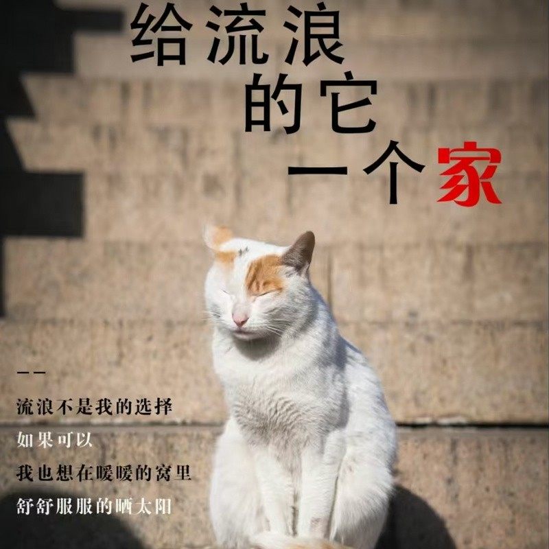 捐赠1分钱0.01一分1毛0.1一毛钱-1元钱一元商品包邮秒杀1块一块钱,个性定制/设计服务/DIY,3D打印/定制,淘宝优惠券,粉丝福利购,淘宝优惠卷