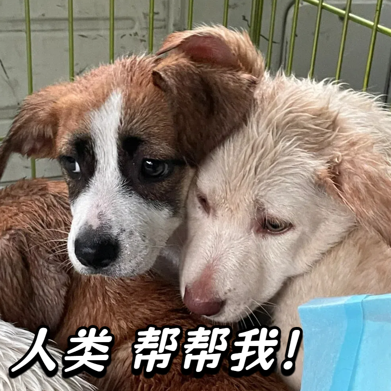 爱心捐赠 1分钱捐款0.01元1毛0.5元五毛钱一块钱商品包邮一元公益,个性定制/设计服务/DIY,3D打印/定制,淘宝优惠券,粉丝福利购,淘宝优惠卷