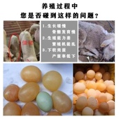 超浓缩鱼肝油ADE粉