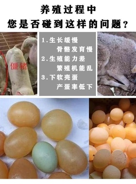 超浓缩鱼肝油ADE粉