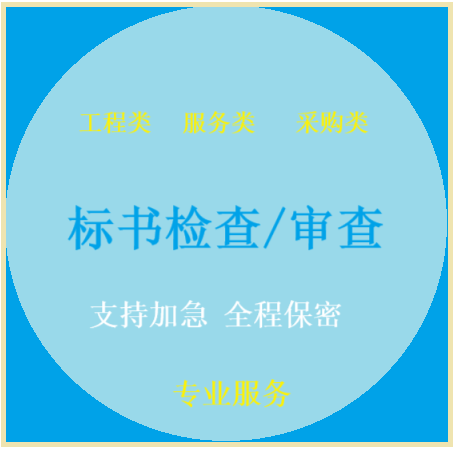 投标书审核标书检查标书审查废标项核查商务资信核对投标文件