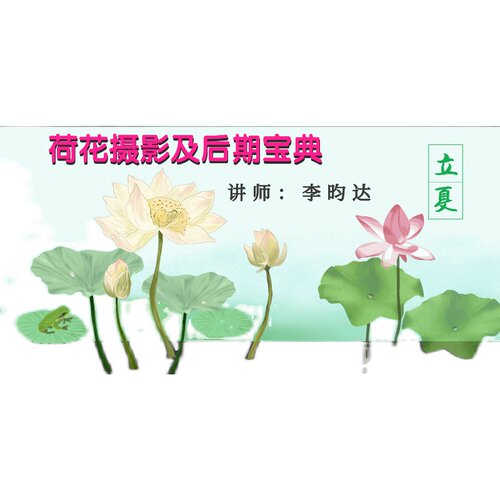 荷花摄影及后期宝典