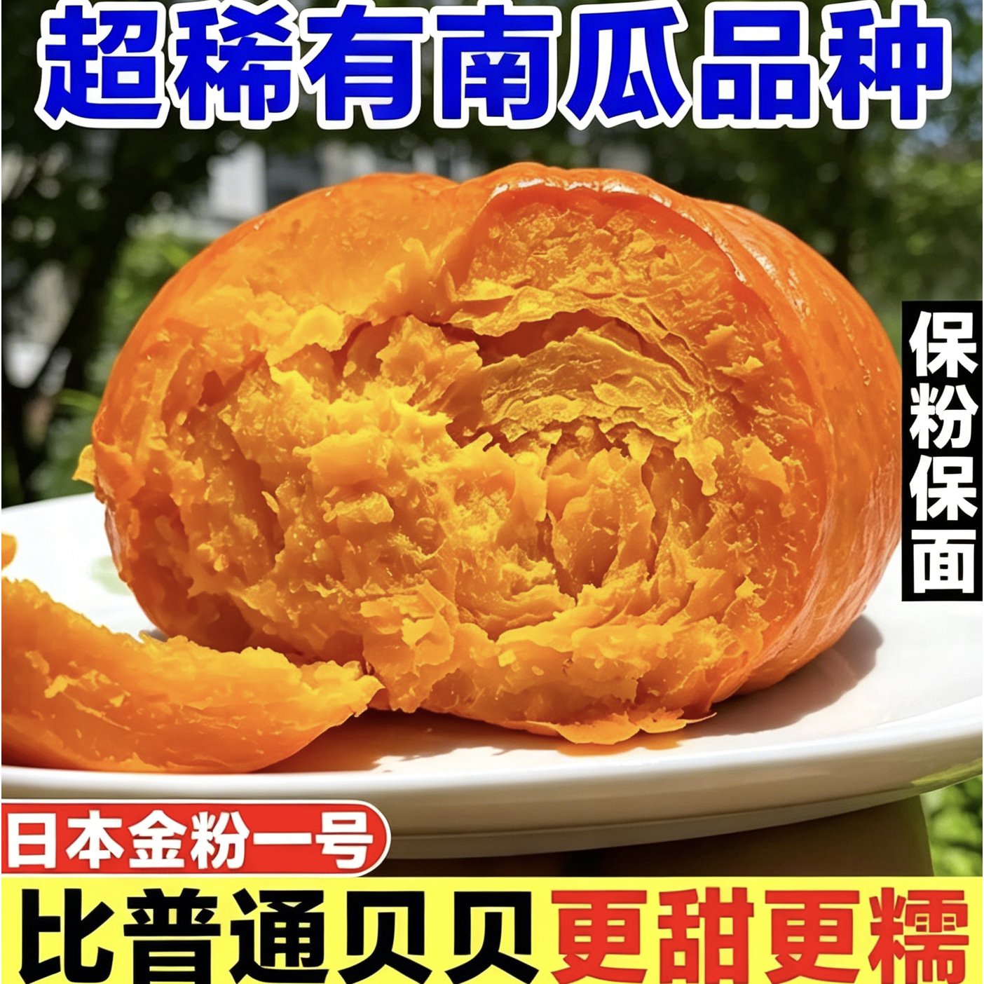 正宗日本惠和金粉1号贝贝南瓜奶油白黄金贝贝南瓜红皮南瓜板栗味