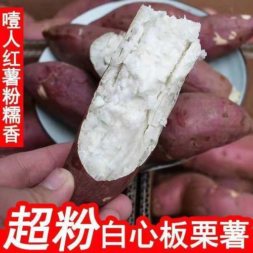 【精选品质】正宗新鲜现挖红皮白心板栗薯粉糯甜白瓤地瓜干面番薯