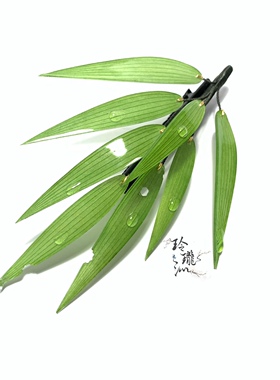 玲珑包邮原创热缩竹叶仿真发梳