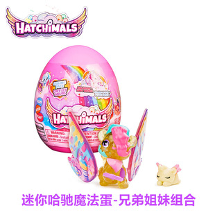 Hatchimals迷你哈驰魔法蛋兄弟姐妹组豪华套装盲盒萌宠公仔宠礼物