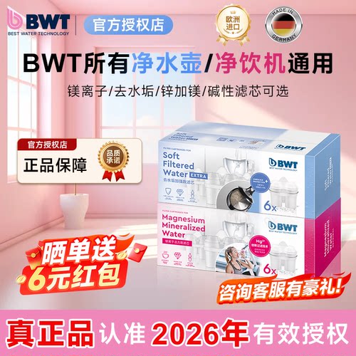 BWT倍世原装进口去垢镁离子滤芯