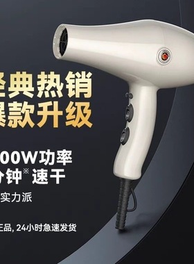 火之凤8960H吹风机2400瓦超大风理发店发型师专用大功率速干造型