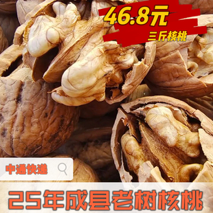 2025甘肃陇南特产 成县老树干核桃孕妇 休闲儿童零食包邮