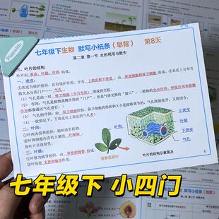 新版七年级下册小四门必背知识点总结默写小纸条政史地生2026彩印
