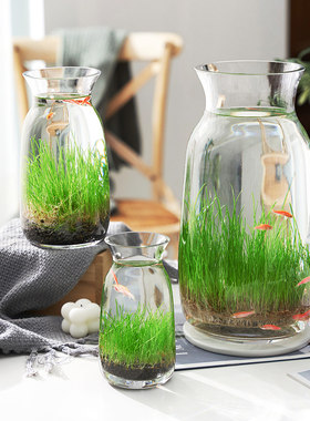 9.8元2个生态瓶玻璃水培草diy