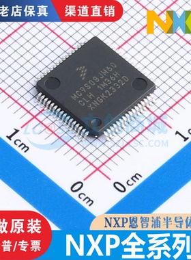 MC9S08/12 AW16/32/60CFUE/CFGE JM60CLH QG4CDTE DG128/A64CPVE