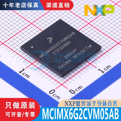 MCIMX6G2CVM05AB MCIMX6G2CVM05ABR LFBGA-289 全新原装渠道直售