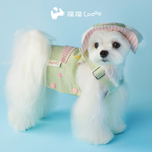 狗狗猫咪春夏季时尚背带裙帽子