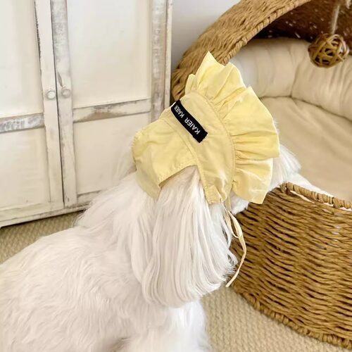 KAIER狗狗帽子可爱黄色花苞帽遮阳中小犬帽子马尔济斯中小犬