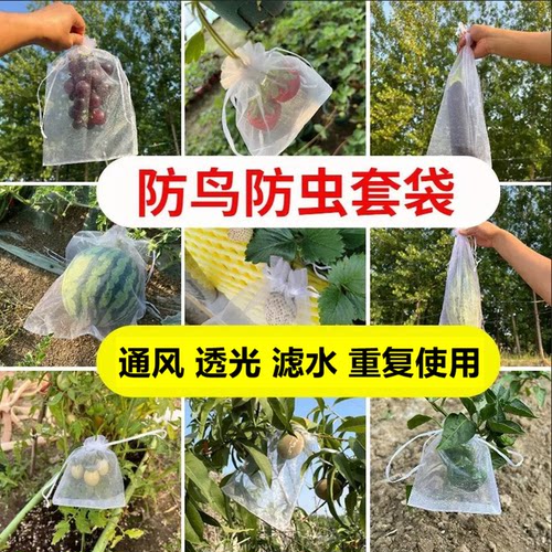 枇杷桃葡萄番石榴草莓防虫纱网袋