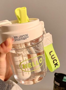 2026新款吸管耐高温塑料杯女生高颜值便携双饮水杯夏季大容量杯子