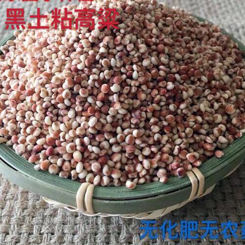 东北农家自产粗粮粘高粱米