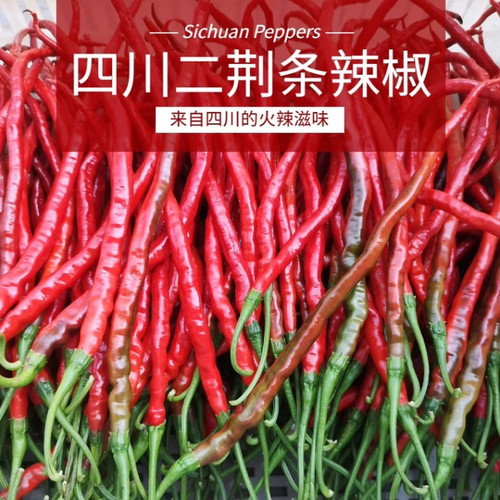 四川红辣椒红二荆条薄皮红线椒农家自种泡椒剁椒酱原料5斤