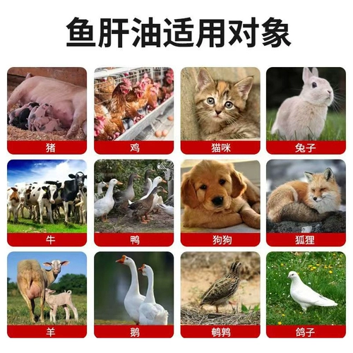 Масло печени трески для ветеринарной курицы, утки, гуся, свиньи, яйца, свиньи, крупного рогатого скота, приложений для корма для овец для витамина электролиза для многомерного ветеринарного использования
