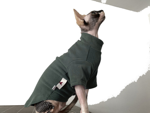 无毛猫衣服德绒打底保暖衣德文,克尼斯,斯芬克斯猫衣服