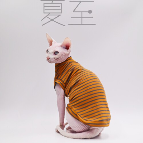 纯棉斯芬克斯猫衣服春夏薄款不起球德文,柯尼斯毛衣服无毛猫衣服