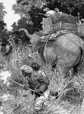 M560【美国】富兰克林·布斯（Franklin Booth）钢笔画、版画图库