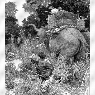 M560【美国】富兰克林·布斯（Franklin Booth）钢笔画、版画图库