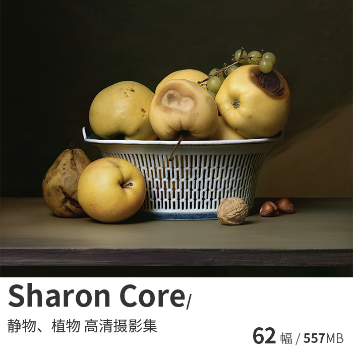 sharon core 美国古典静物植物花卉摄影作品集高清图片素材资料