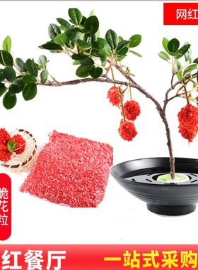 网红妃子笑荔枝虾球红脆花粒装饰摆盘特色个性干冰火锅冒烟餐具盘