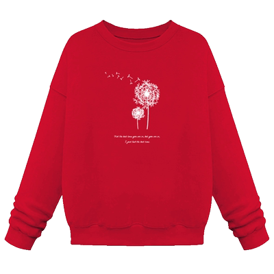 加绒加厚秋冬新款ins风无帽卫衣