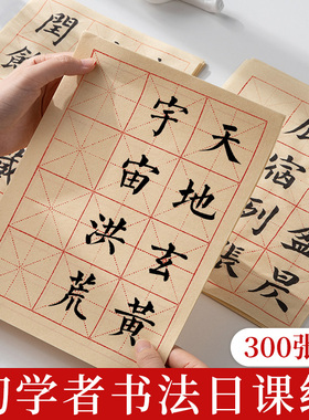 300张毛笔字练习纸小学生宣纸书法专用日课纸初学者小楷练字纸半生熟米字格作品纸行书楷书毛边纸练毛笔字纸