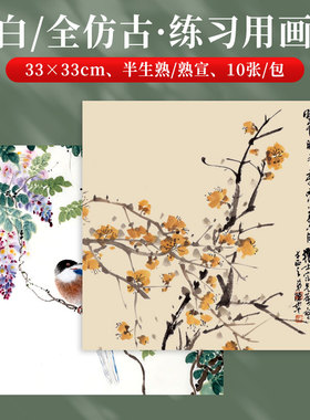 御宝阁练习专用宣纸画片全白全仿古33x33国画生宣半生熟熟宣卡纸小写意山水花鸟工笔没骨画书法写生镜片软卡
