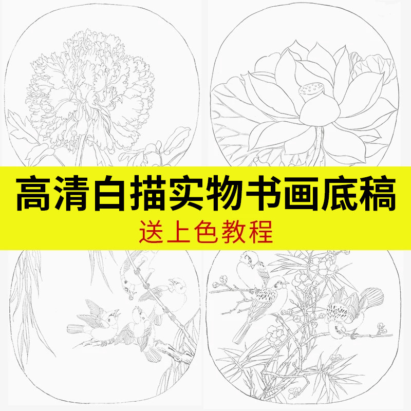 工笔画底稿白描画稿初学者临摹入门描红套装国画专用练习卡纸毛笔作品纸书画装裱熟纸画卷空白产自宣纸之乡
