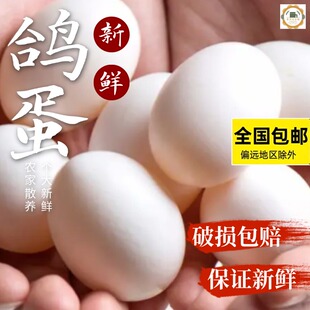 鸽子蛋新鲜20枚400克 60枚1230克以上大白鸽蛋农家散养 30枚615克
