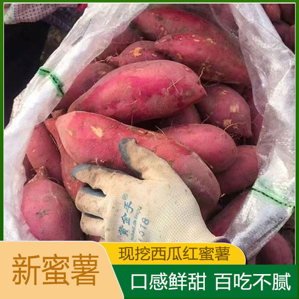 广西红薯高山河池地瓜巴马红蜜薯西瓜红新鲜带箱广西密薯烟沙