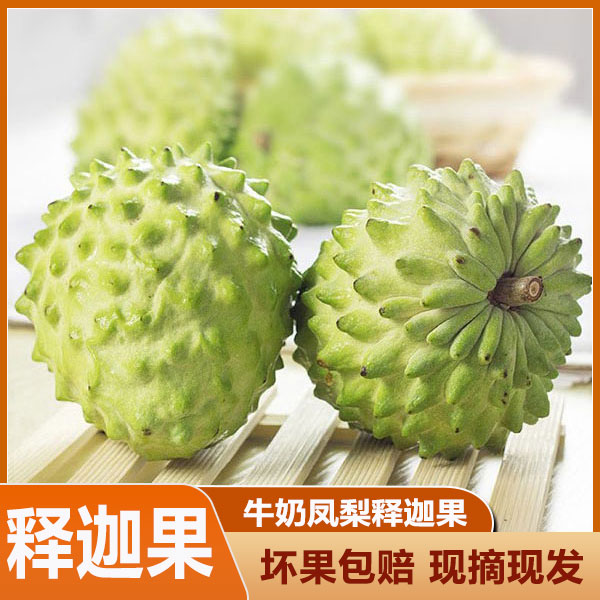 正宗牛奶凤梨释迦果新鲜水果牛奶番荔枝农家释迦佛头果现摘林檎