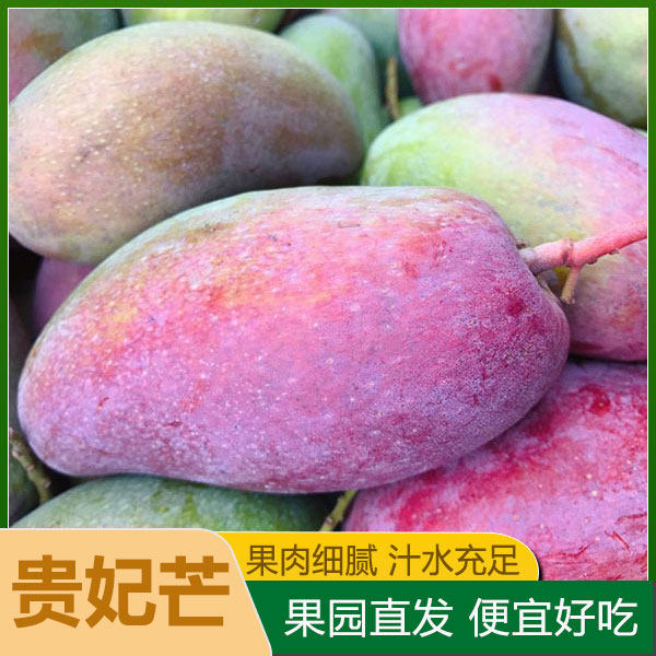 广西贵妃芒七彩芒果发货屿田南宁树上熟红金龙核薄新鲜-香甜礼盒