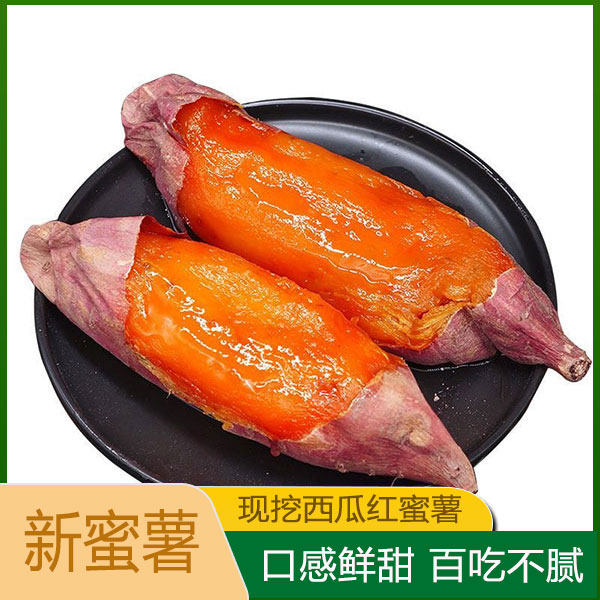 新鲜西瓜红番薯西瓜红现挖黄心沙地农家自种粉糯西瓜红密薯地瓜