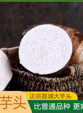 广西野生蕉芋儿粗粮荔浦芋头旱藕蕉芋芽蕉木芋白金芋姜藕整箱新鲜