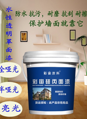 水性罩面漆室内外墙通用透明漆防水抗污光油清漆罩光漆墙绘保护漆