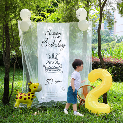 小红薯同款户外生日场景氛围布置装饰网纱背景挂布6周岁男孩拍照