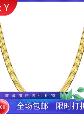 新款欧美跨境热卖4MM简约刀片钛钢项链个性不锈钢扁平蛇骨链项圈